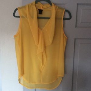 3 for $10 Ann Taylor Shear Sleeveless Ruffle Blouse